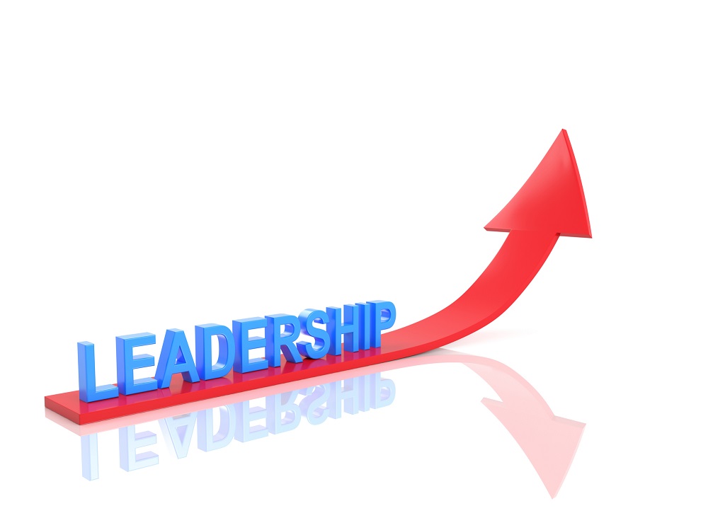 How to Maximise ROI on Your Leadership Coaching Programmes