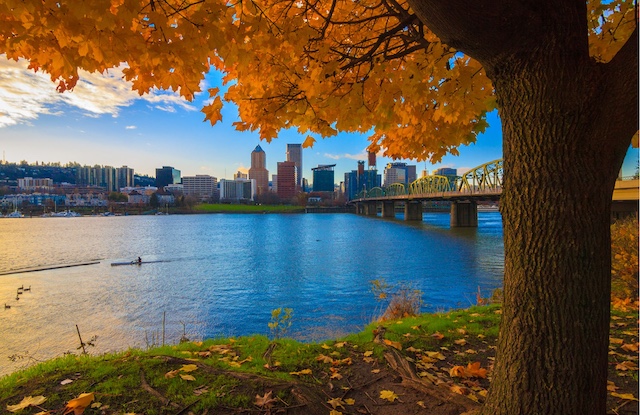Portland, Oregon skyline with autumn leaves in the foreground, representing outplacement services in Portland, OR