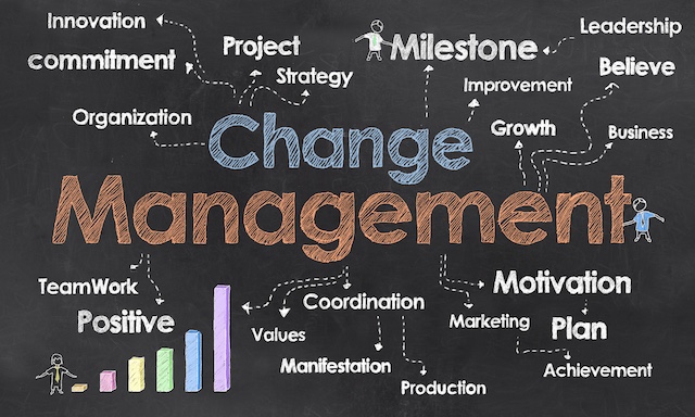 A young Black woman leads her team in a project meeting