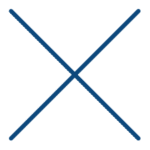 x icon